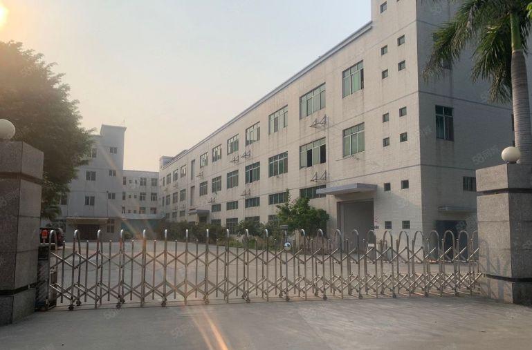 东坑新出原房东独门独院5000平方实际面积出租可分租