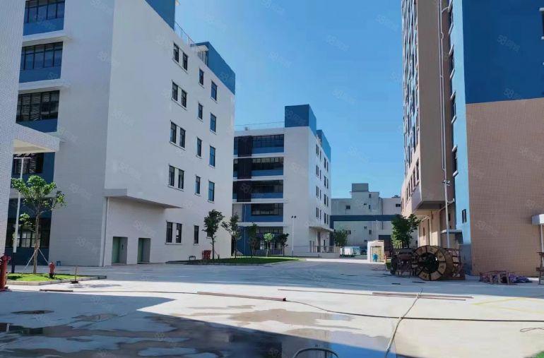 业主直租！生态园大道旁新出3150平整层全新红本厂房出租