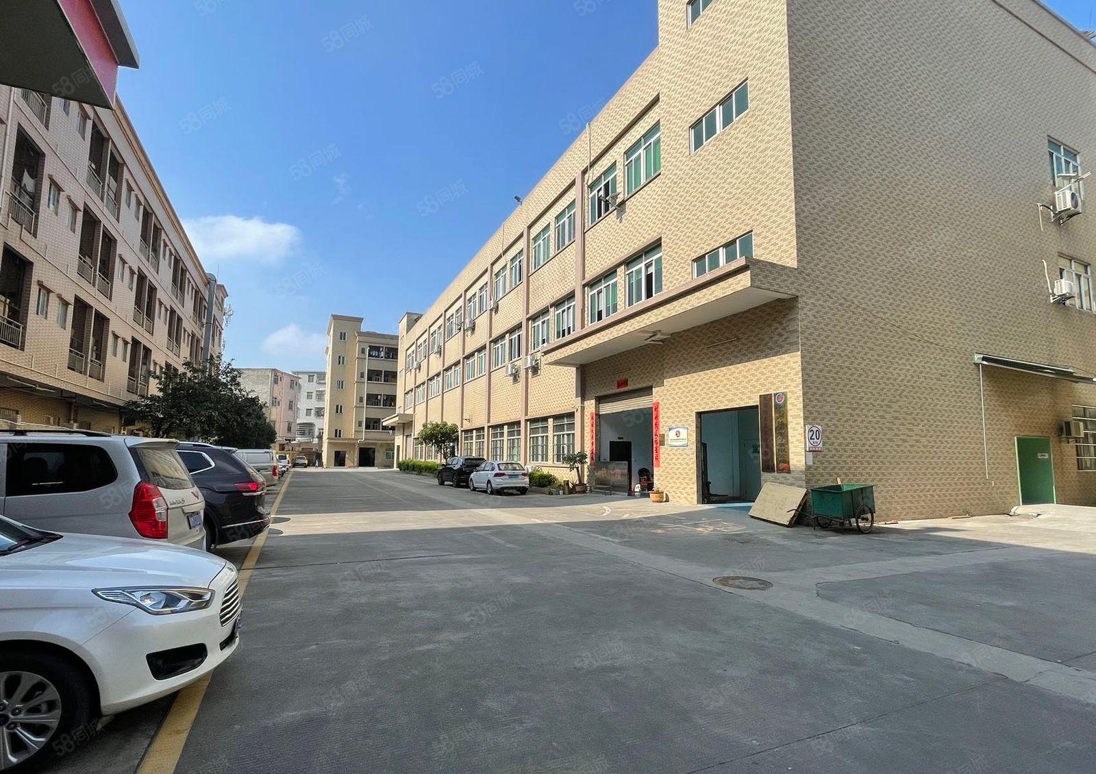 东坑镇工业园标准厂房出租一楼1000平精装修带地坪漆高6.8