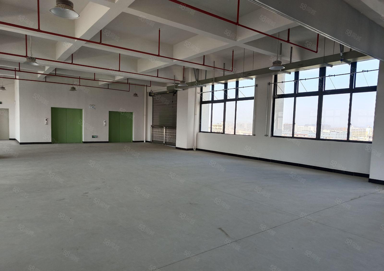 松山湖高新园区全新独院厂房独栋厂房花园厂房重工业厂房可办环评