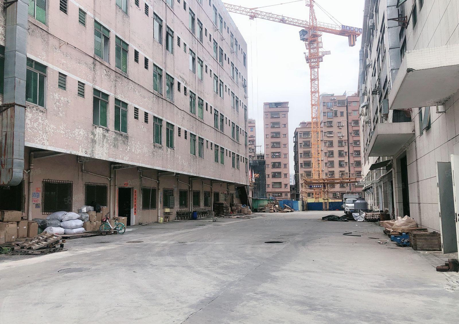 厂房出租   东坑镇新出独院租客分组一楼厂房！