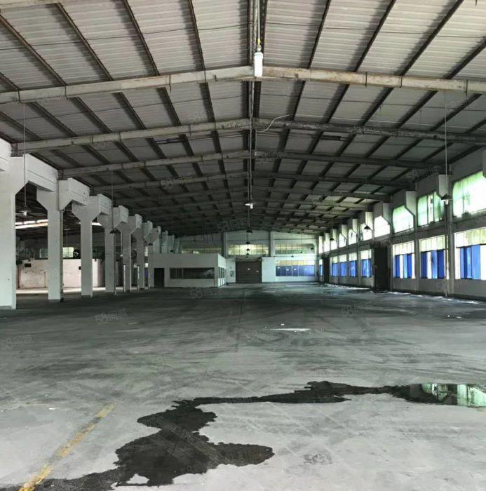 东坑 独院 单一层钢构 2800平方 带行车 高度10米