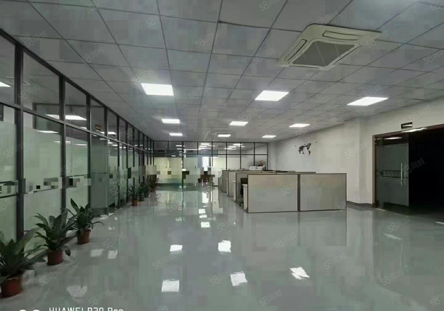 工业聚集地独院厂房招租，适合各行业客户