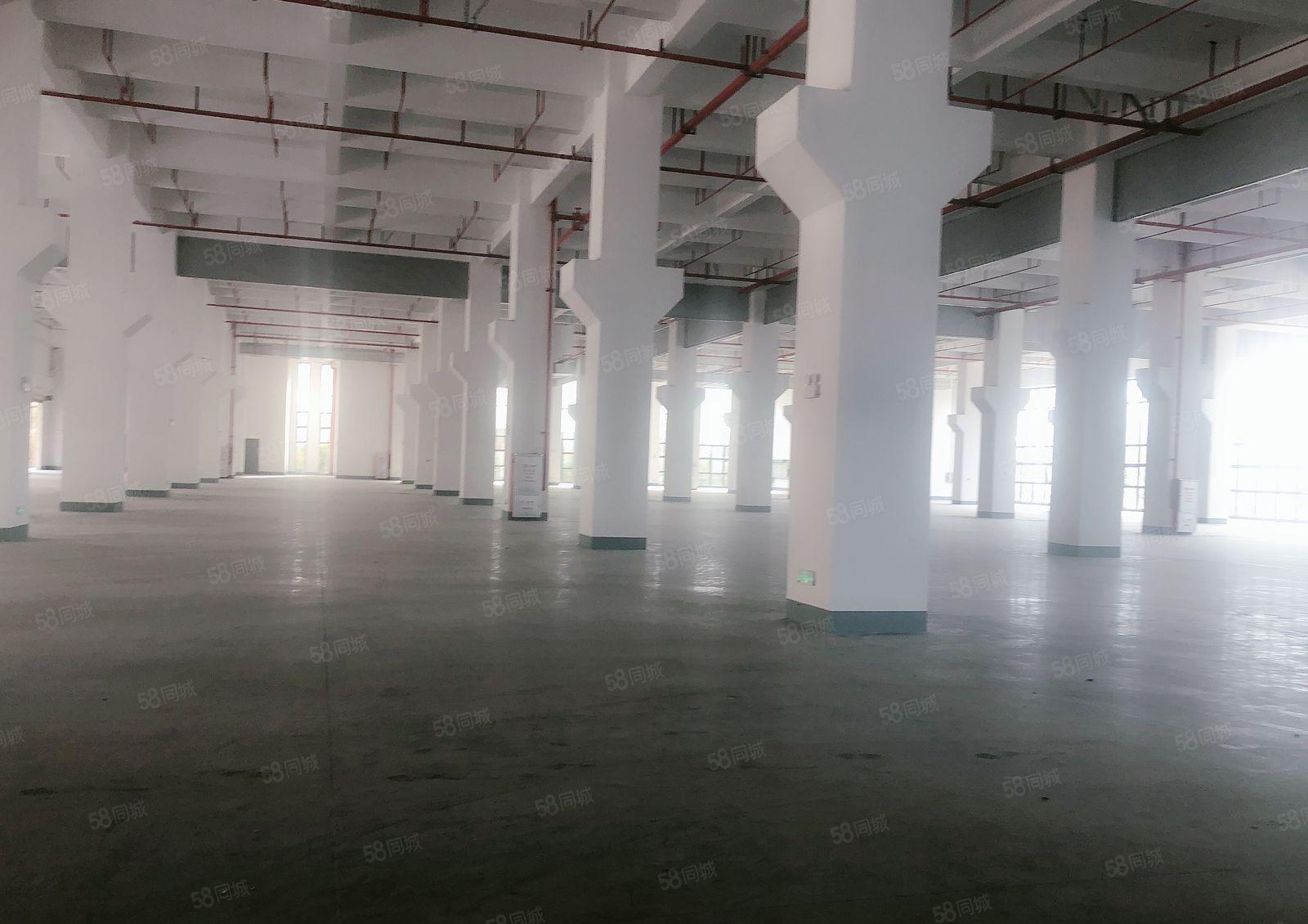 厂房出租     东坑镇新出原房东150000红本厂房出租！