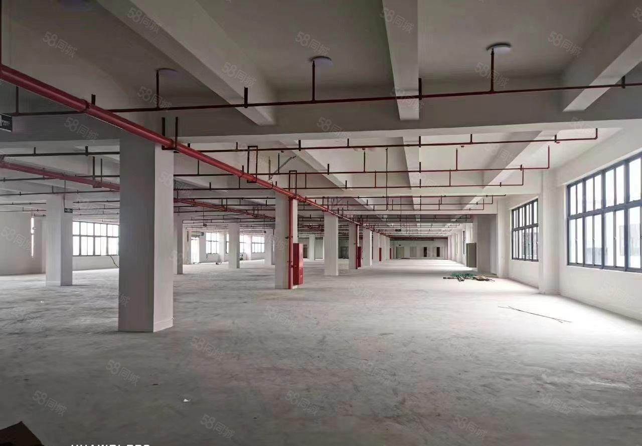 新出原房东带独立办公楼8600平独院 塑胶五金