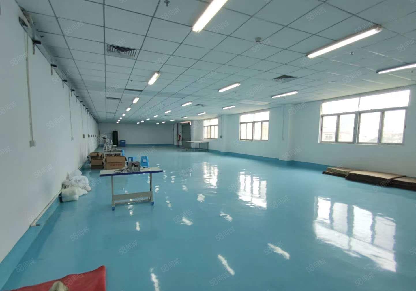 东坑二楼整层1200平方，带豪华装修，水电齐全价格优惠，可分