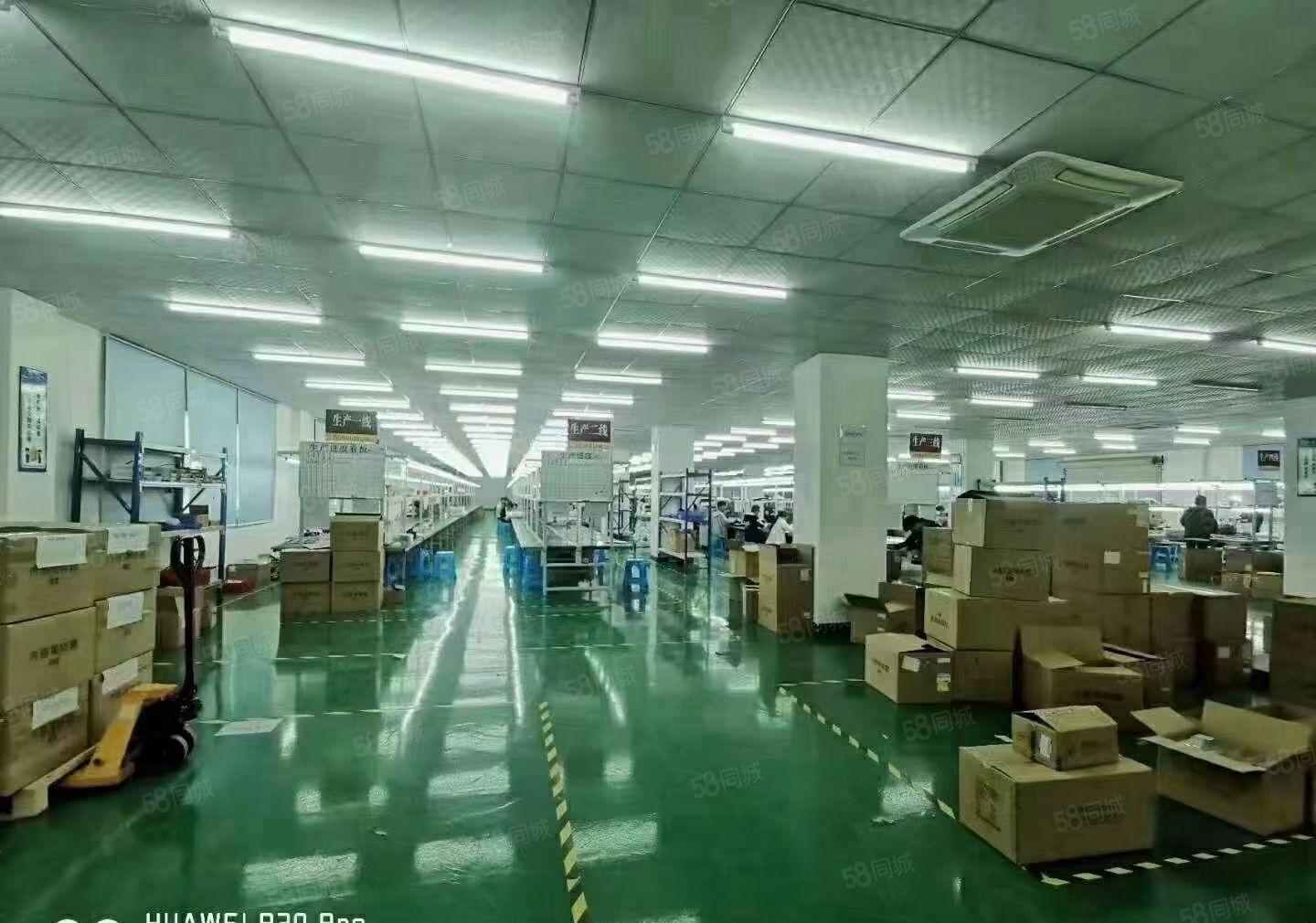 工业聚集地独院厂房招租，适合各行业客户