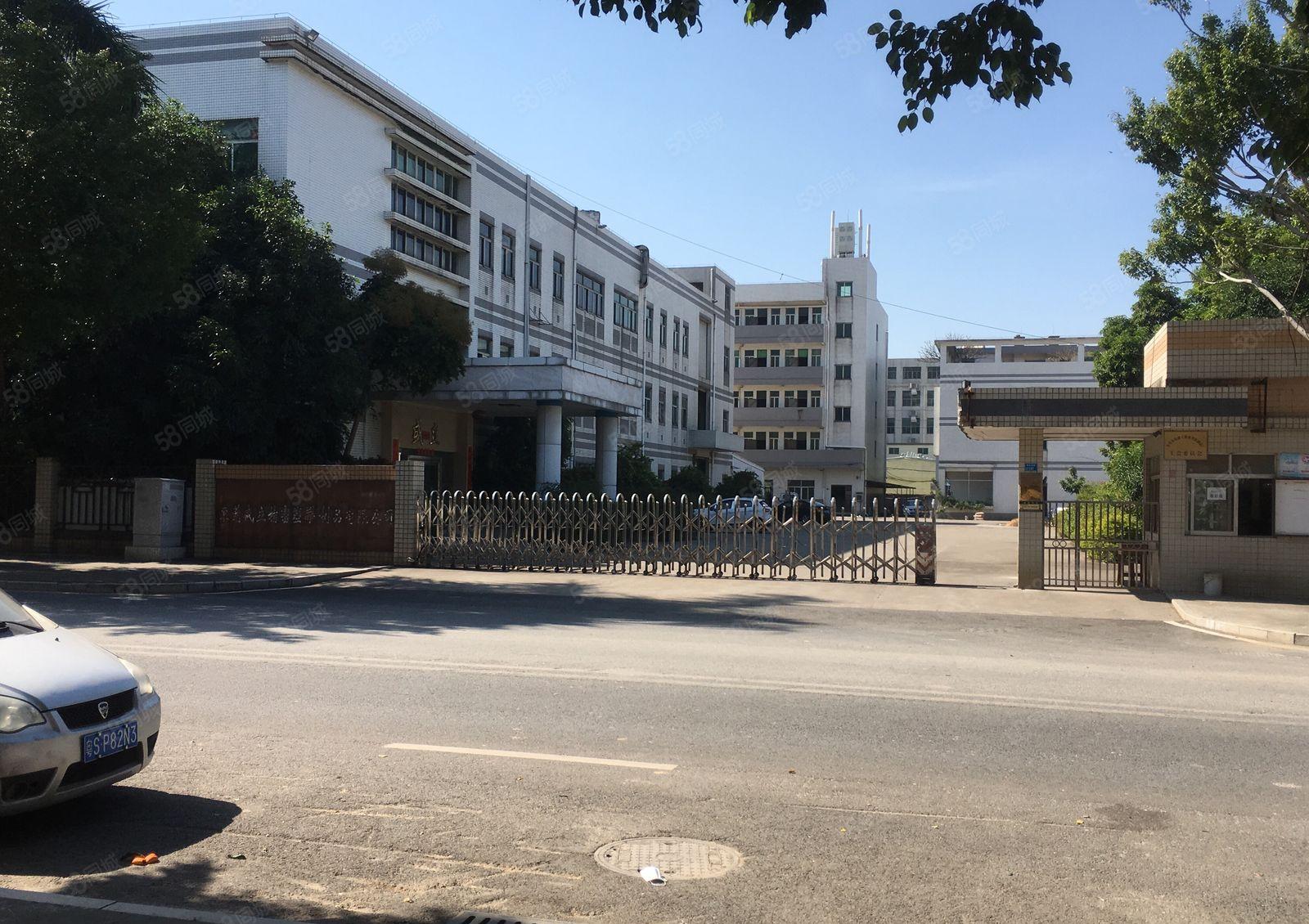 东坑镇标准厂房出租一楼1200平可办环评，带有航车办公室