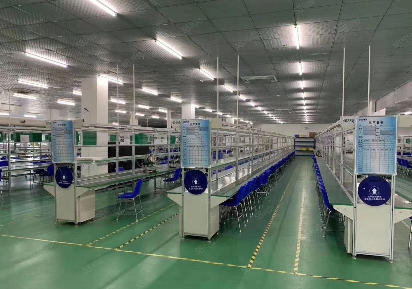 东坑镇本地房东独院厂房5000平方招租水电齐全带装修