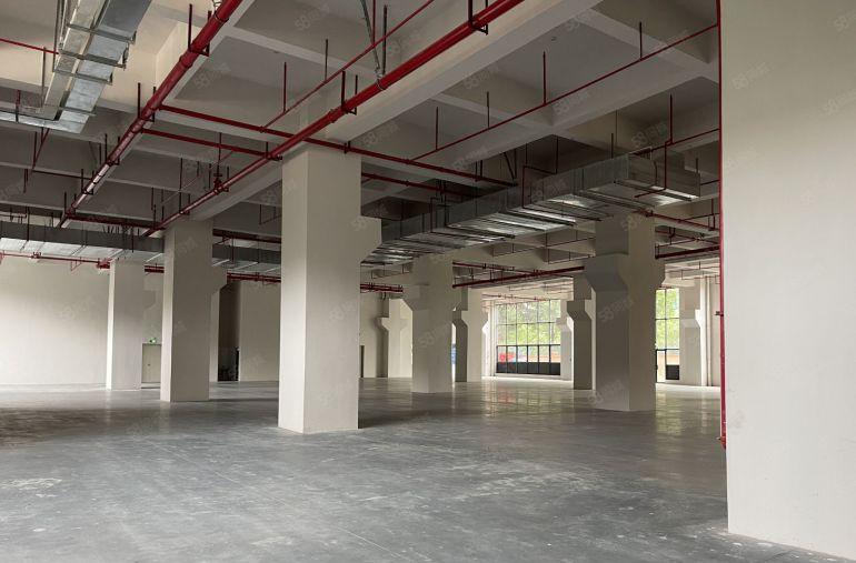 一楼标准500平厂房出租  大小可分租