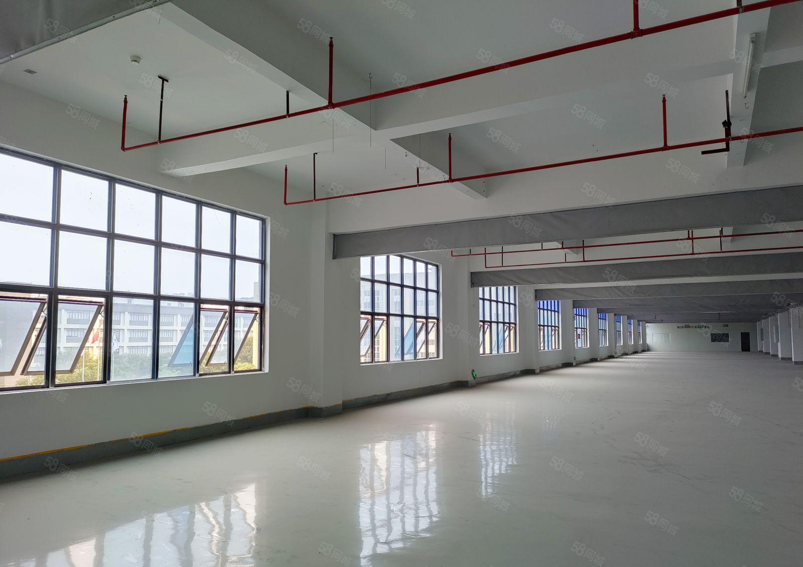 东坑镇原房东10块打包特价红本厂房，周边园区配套高新企业