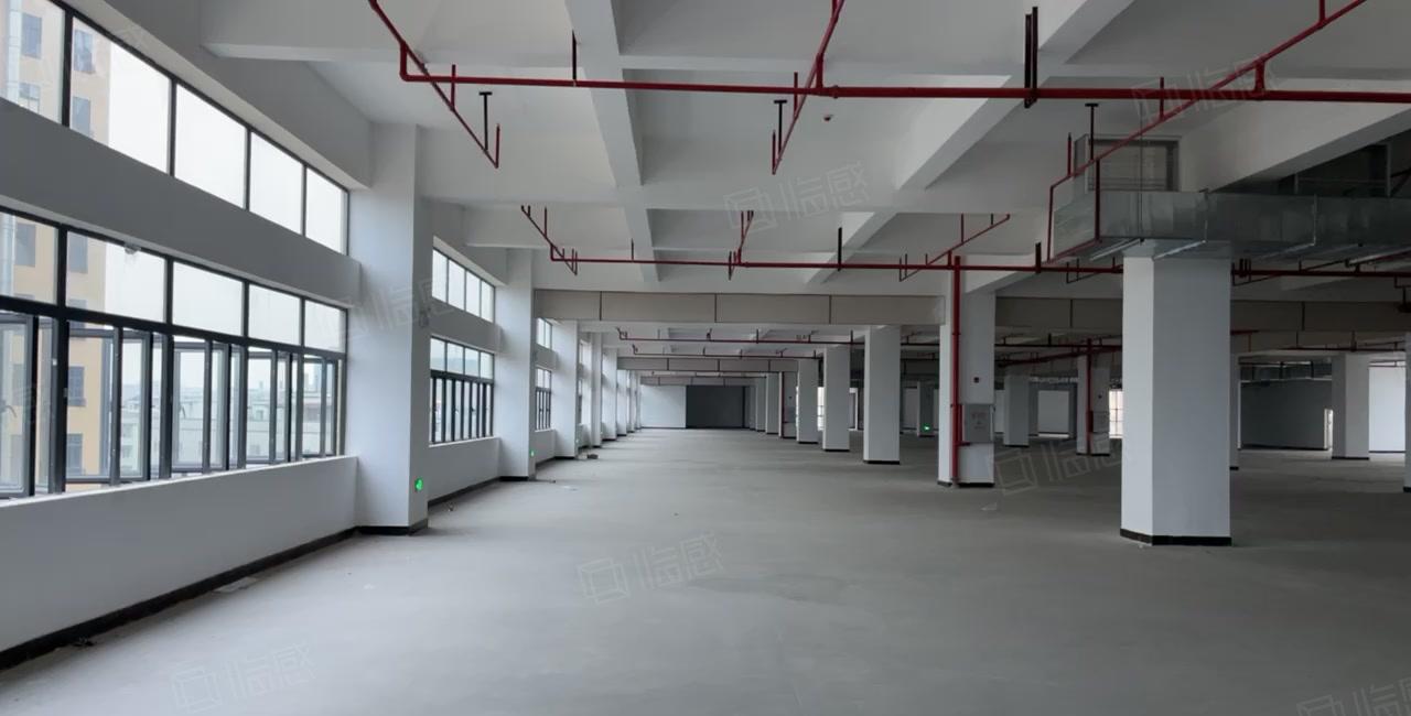 东坑镇工业园标准厂房出租三楼5912平可办环评丙二类消防