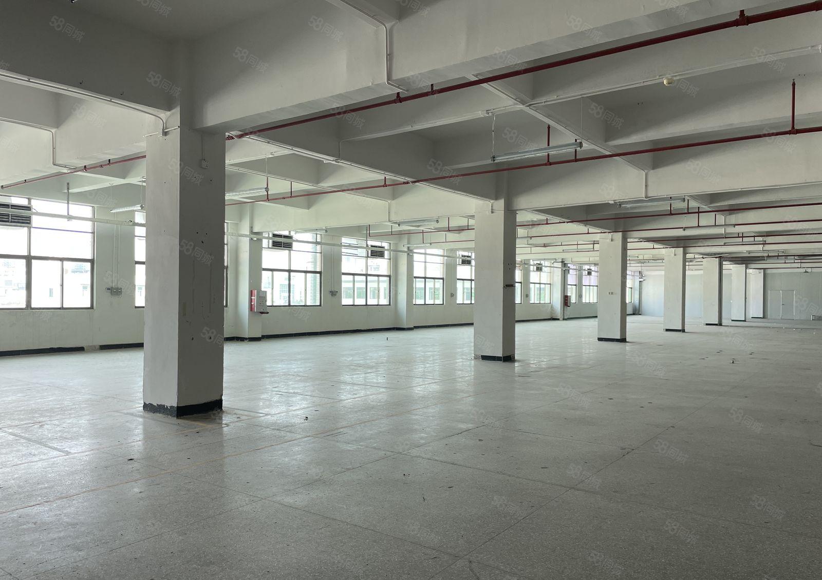 东坑镇工业园标准厂房出租四楼2000平可办环评带精装办公室