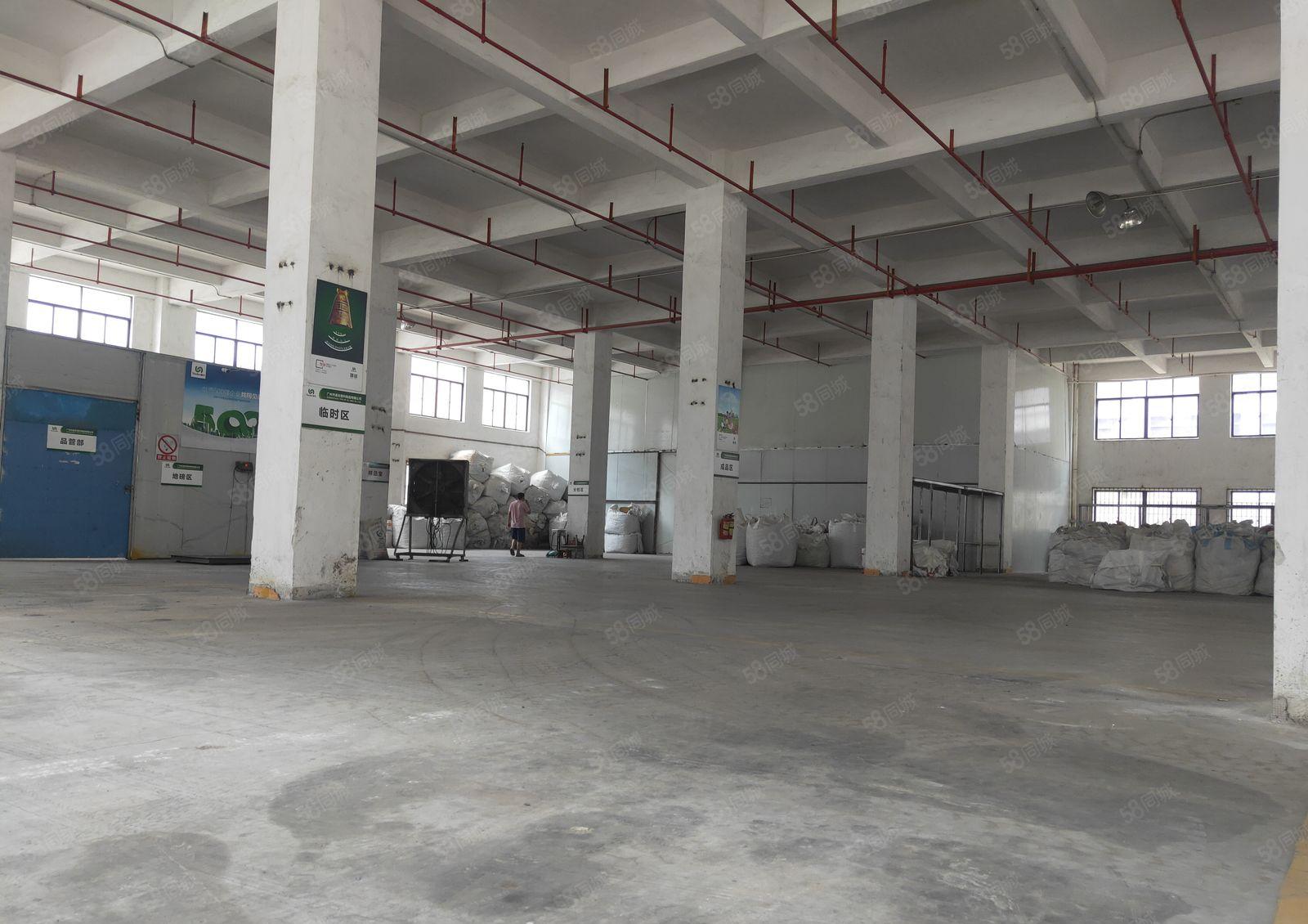 价格优惠！东坑镇独院标准厂房出租一楼800平方带装修交通方便