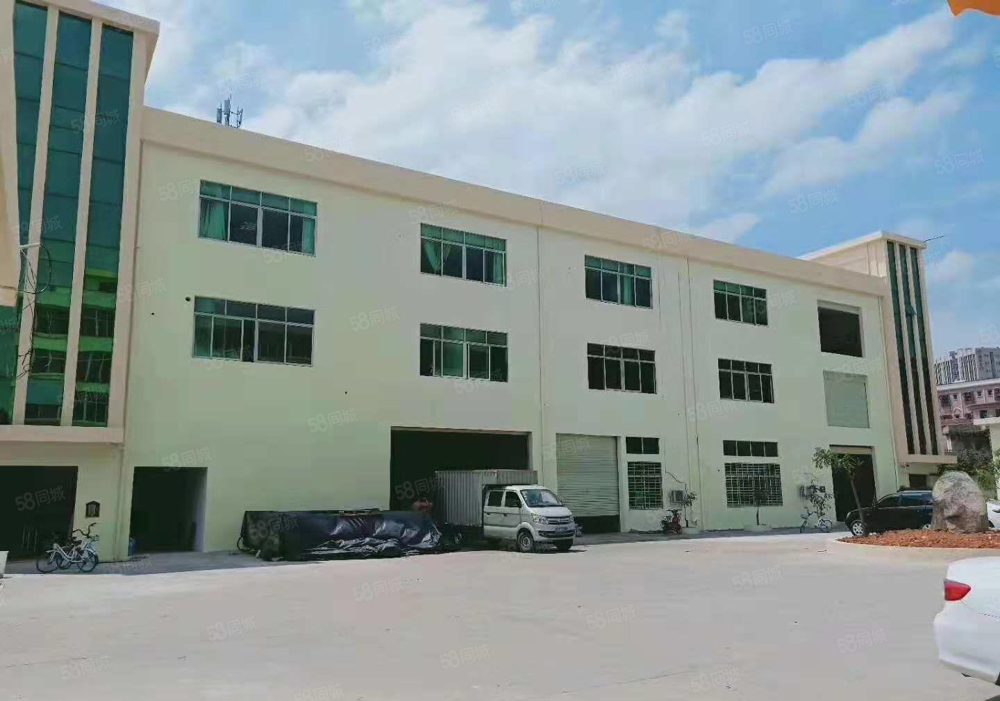 东坑 角社 自用厂房出租 一楼1000平方,无公摊面积