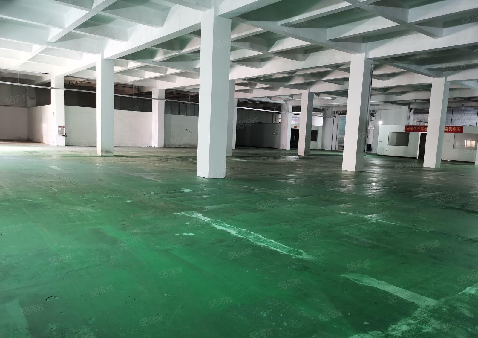 东坑彭屋现成装修一楼厂房1300平 层高6米 可办环评易招工