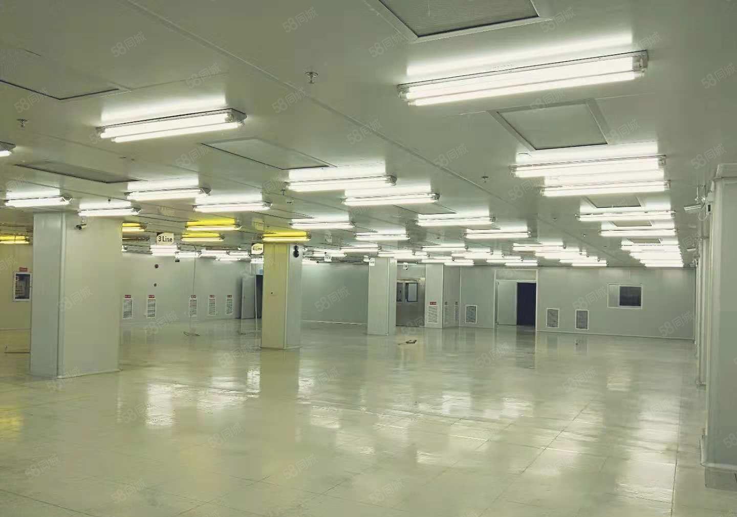 东坑 科技路附近 高新科技园3万平方火爆招商 可分租