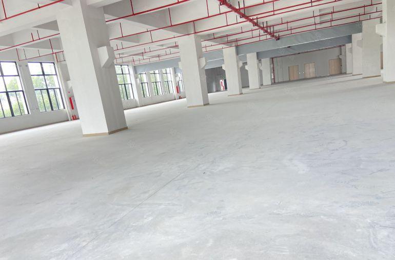 东坑 原房东 全新标准厂房 带卸货平台 带牛角 低价10元