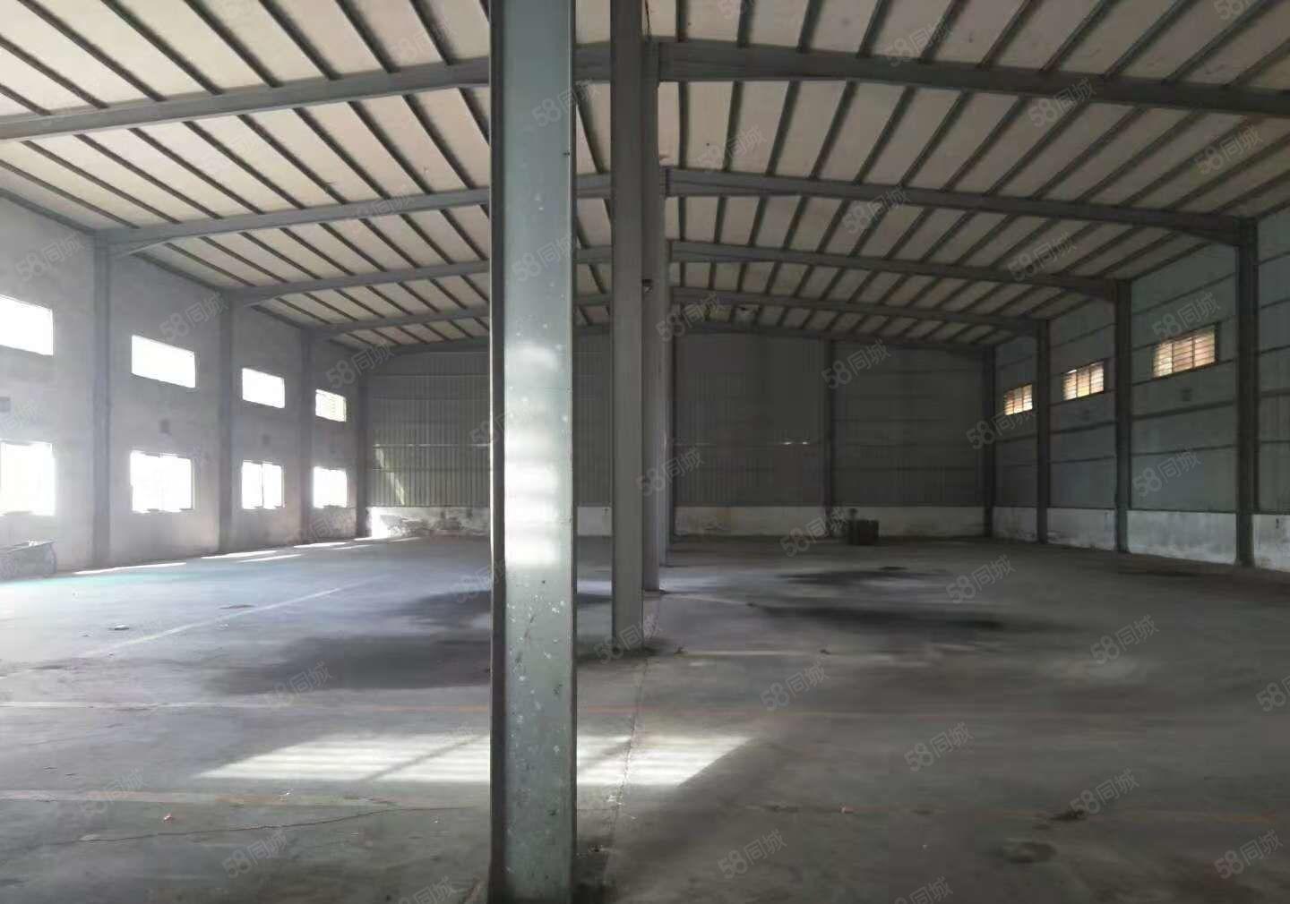 东坑 坑美 独院厂房 出租，单一层 钢构 3000平方