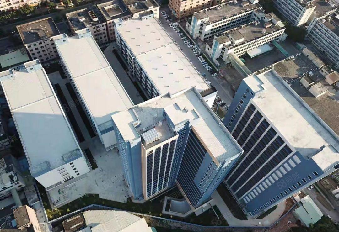 东莞东坑全新红本标准厂房53700平方，可按需灵活分租