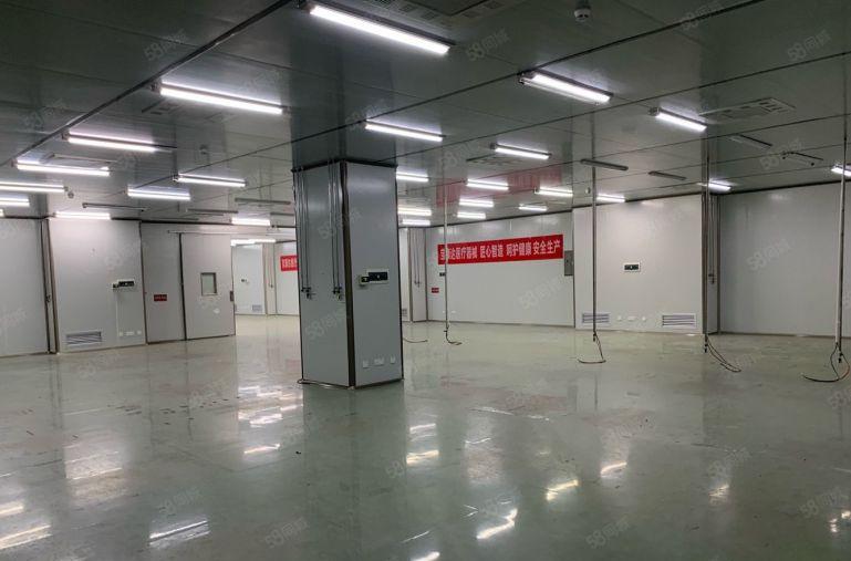 价格7元原房东300平500平1000平东坑大朗一楼仓库厂房