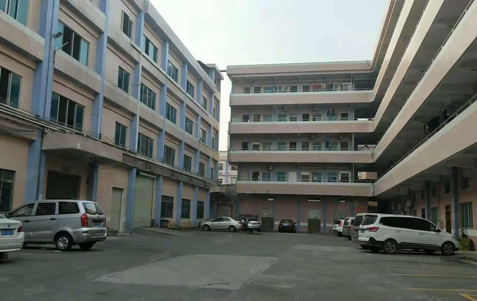 东坑 丁屋 厂房出租 一楼 400平方，价格便宜