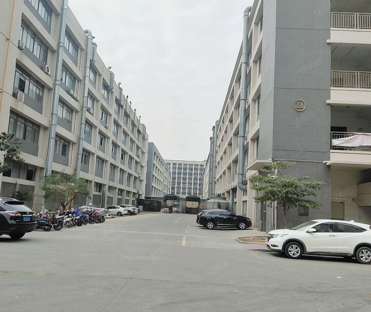 东坑工业园区花园式厂房出租1680平方，带卸货平台，形象好