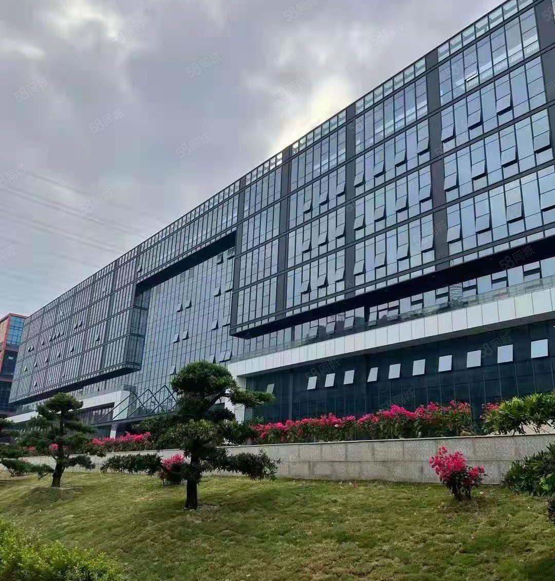 东坑镇新出可分租200一1000平方小型工业园厂房仓库