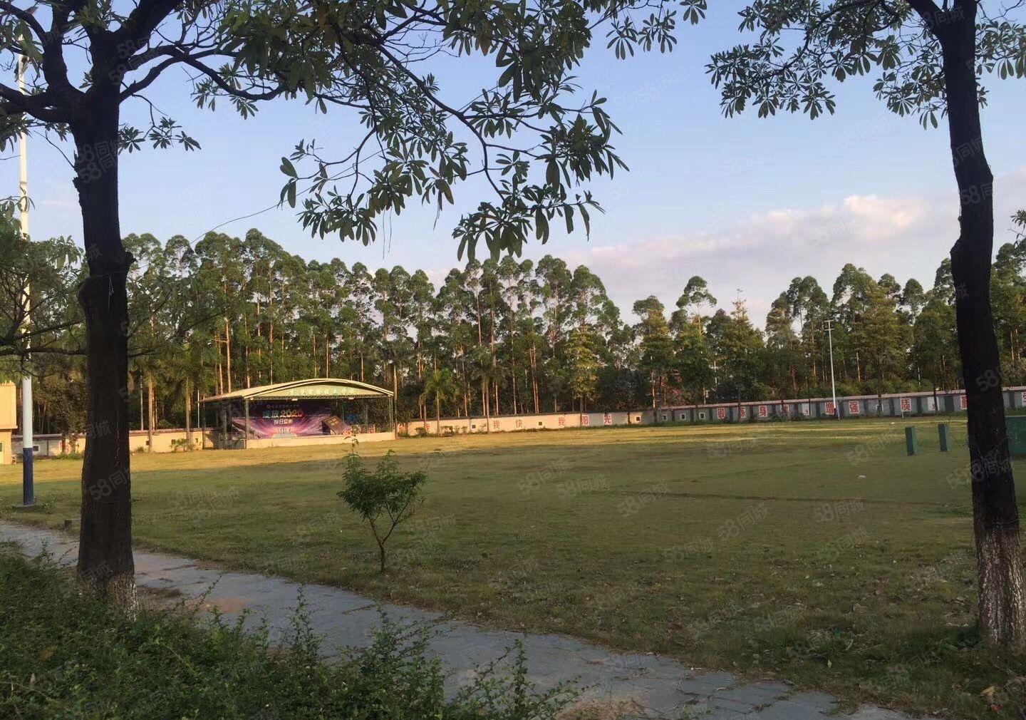 东坑省道边花园式独院厂房低价招租，国有双证，空地1万平免费用