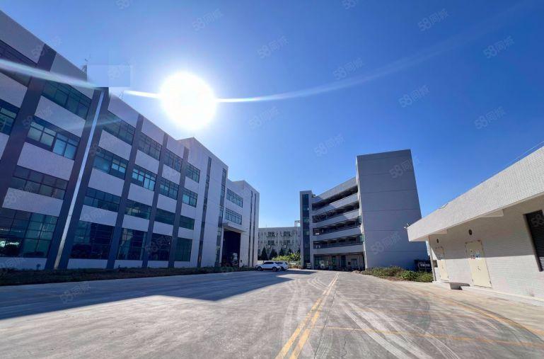 全新厂房 分租 超大的院子 可进出大货车 电梯