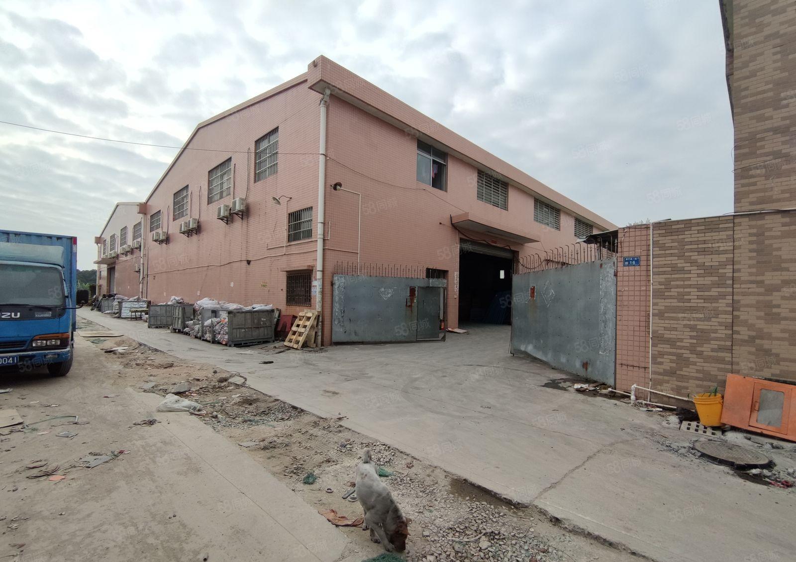 东坑镇新出独院单一层砖墙到顶厂房3000平米带宿舍办公价格低