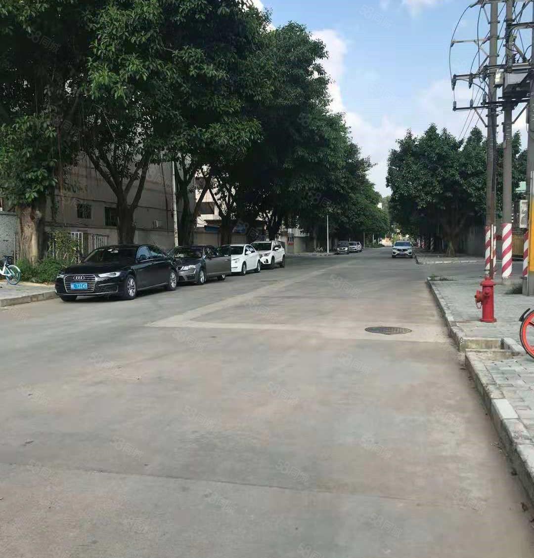 东坑8米高钢结构厂房出租800平方,可做物流仓库！