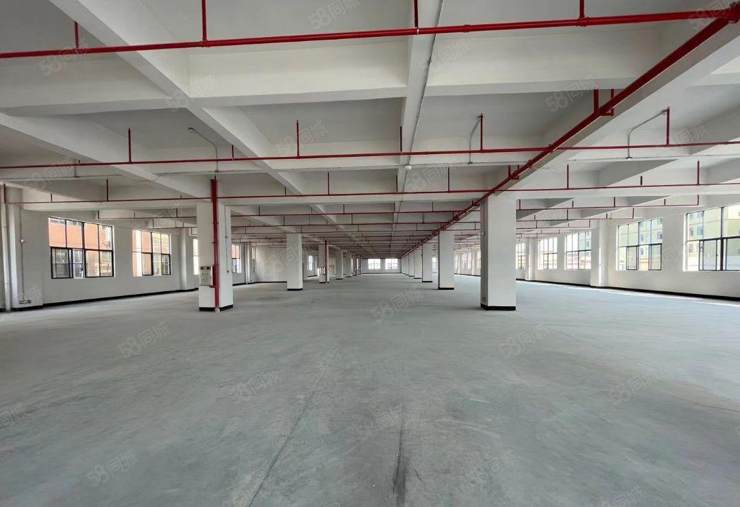 厂房出租，精致装修，地坪漆，办公室，年底特价厂房，2楼以上楼