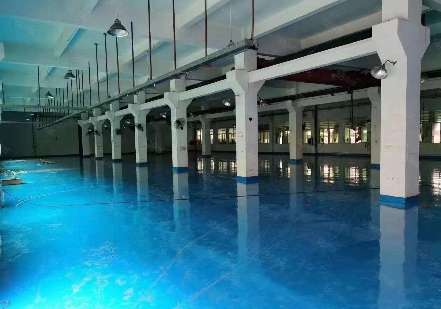 东坑镇工业园标准厂房出租一楼1000平精装修带地坪漆高6.8