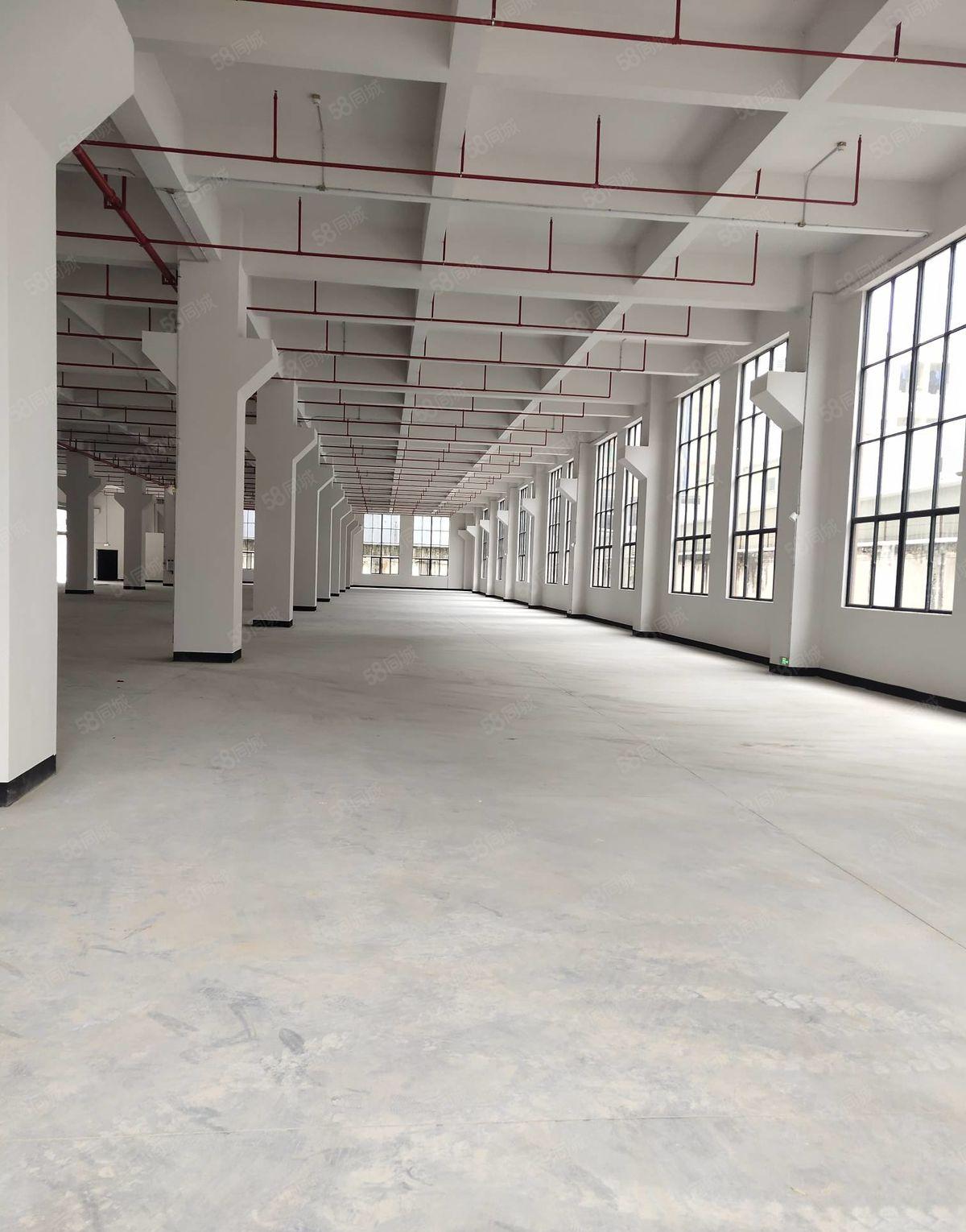 东坑镇工业园区 一楼厂房招租 面积3580平方 可整租可分租