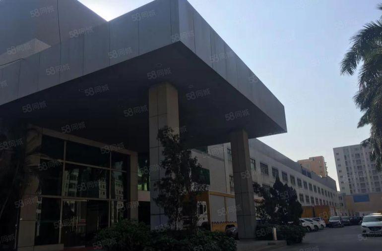 东坑 独院 单一层钢构 2800平方 带行车 高度10米