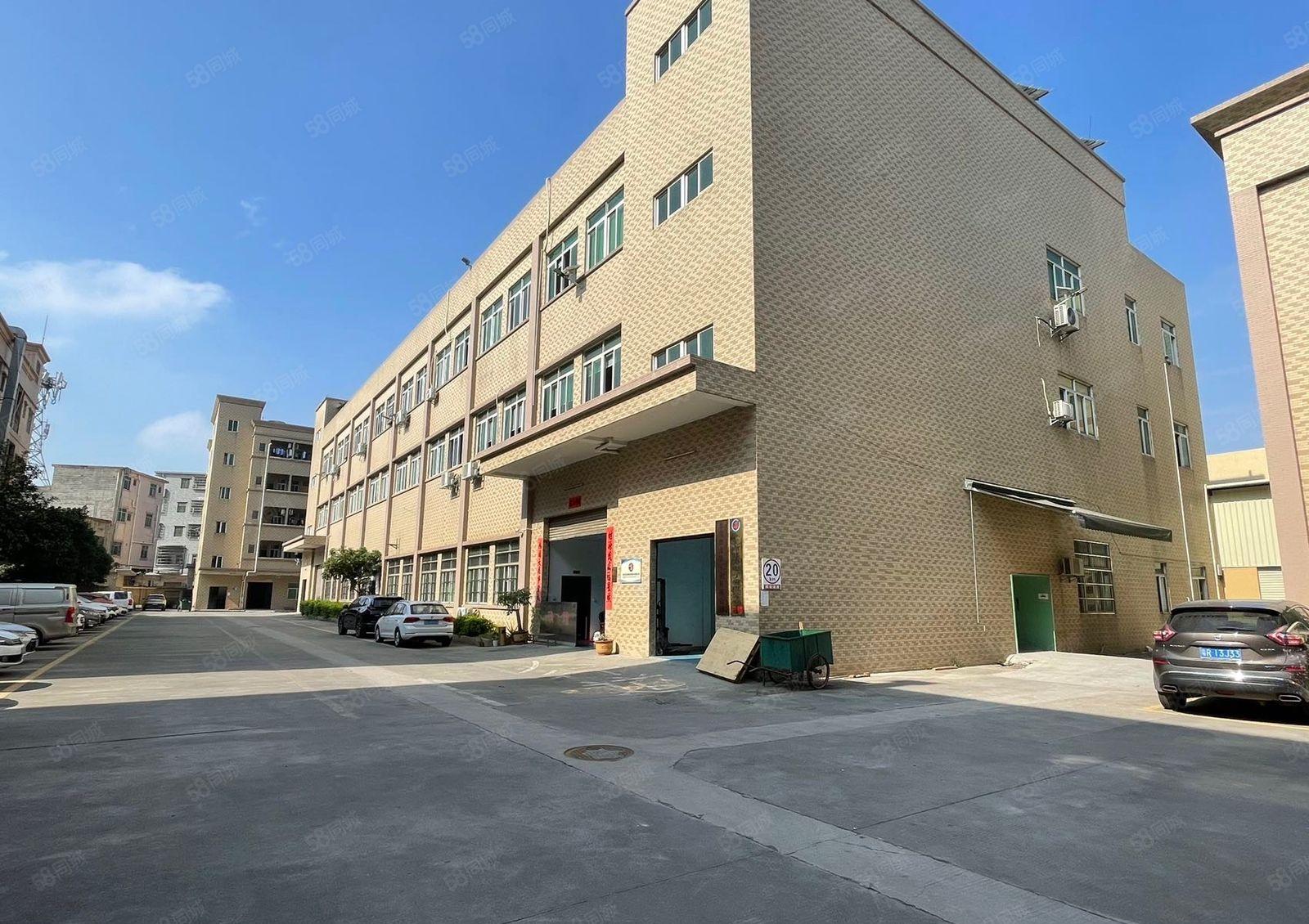 东坑镇工业园标准厂房出租一楼1000平精装修带地坪漆高6.8