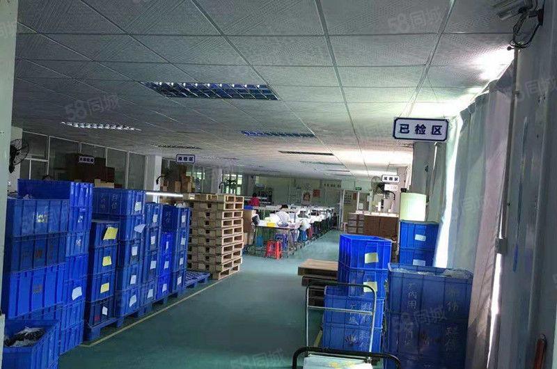 东坑 沿河路 新出 二楼整层 1200平方 10元放租 价格