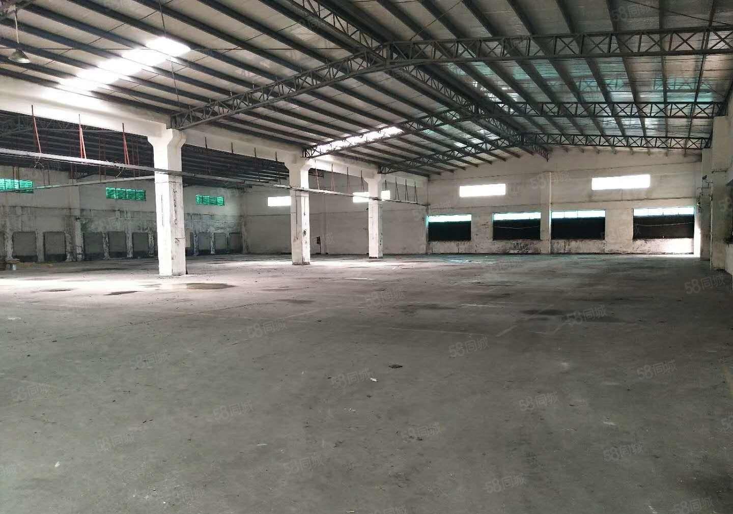 东坑 坑美 独院厂房 出租，单一层 钢构 3000平方