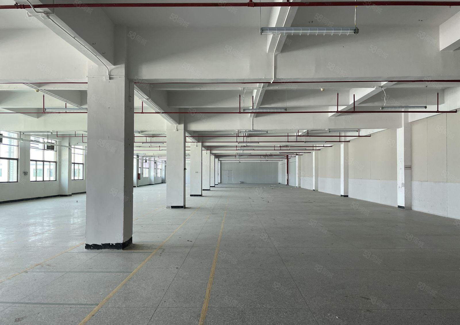 东坑镇工业园标准厂房出租四楼2000平可办环评带精装办公室