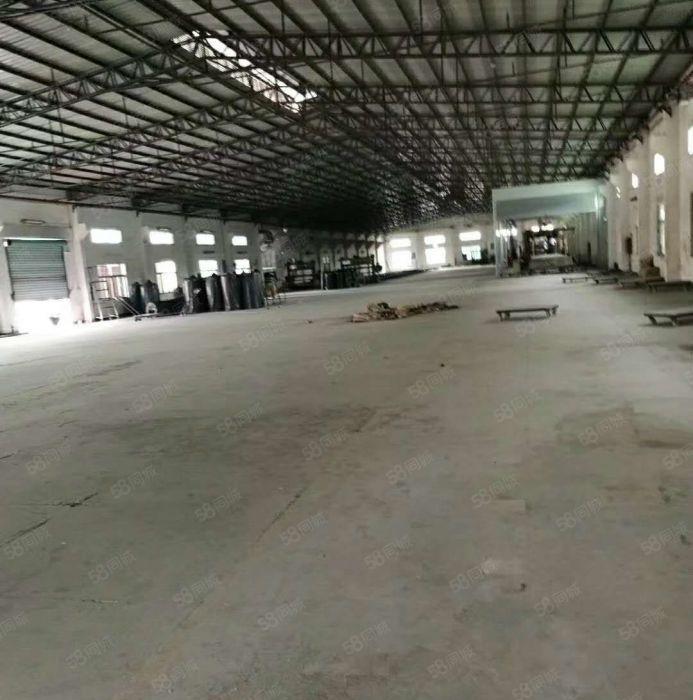 东坑 8米高 钢构 厂房出租1500平方,九成新，独院