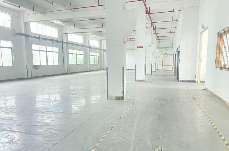 东坑原房东独院三层厂房出租 空地超大 适合注塑五金模具家具等