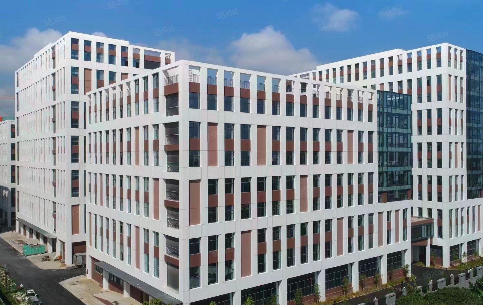 东坑角色原房东一楼2000平层高7米红本厂房出租