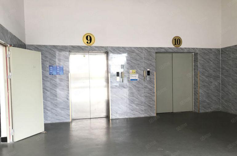 业主直租 东坑全新红本厂房出租 大小面积分组。