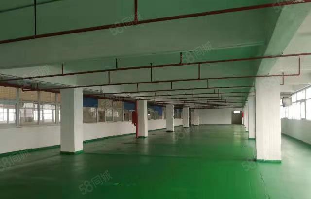 东坑 骏达工业园 大型科技园20万平方,分租8元起，形象好空