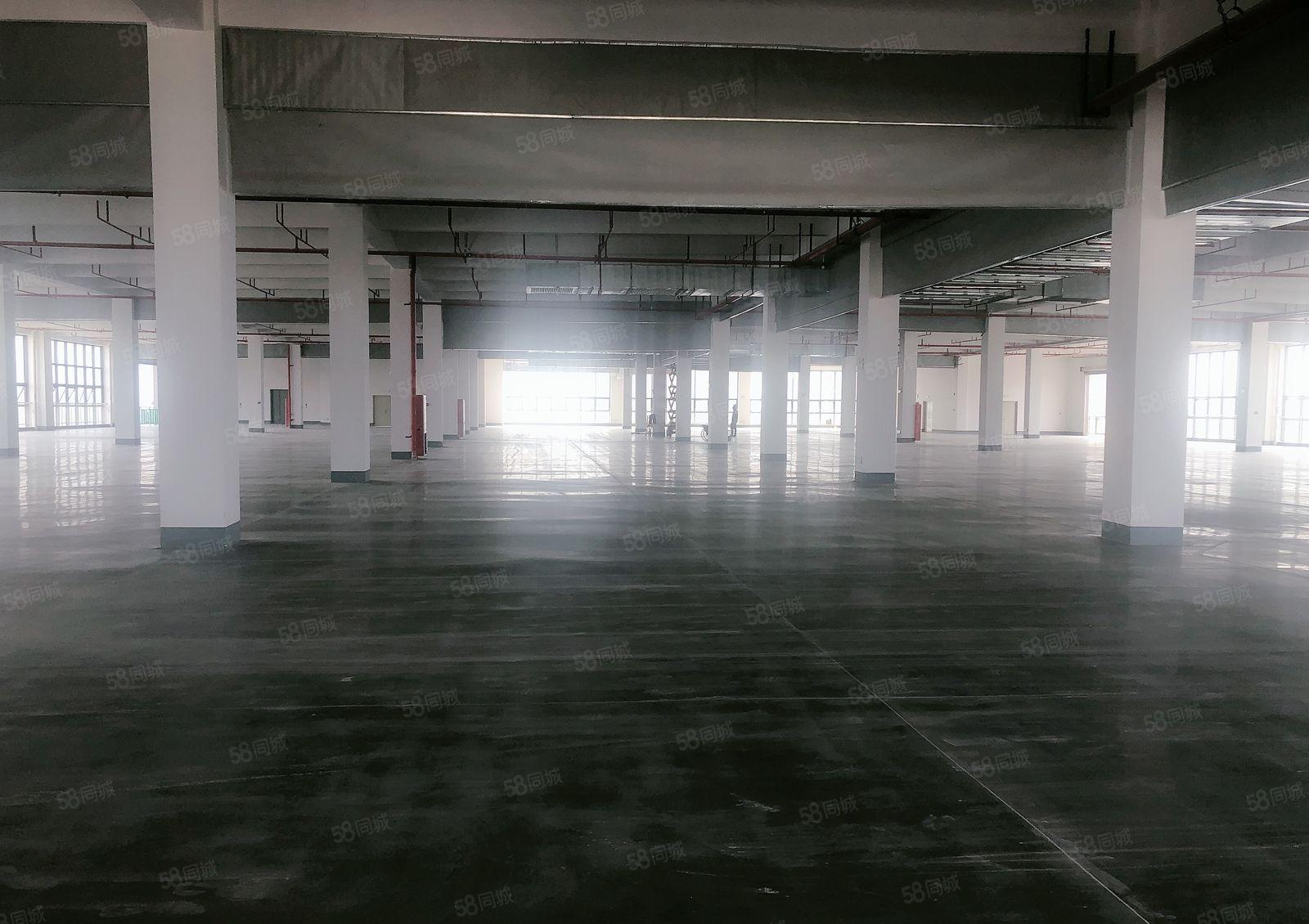 厂房出租     东坑镇新出原房东150000红本厂房出租！