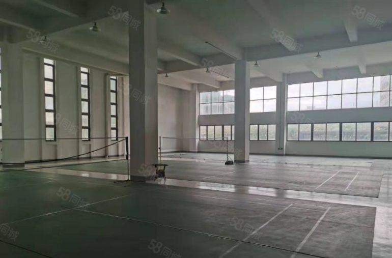 15元每平 一手房东超长免租期  双证齐全 超大空地 可分租