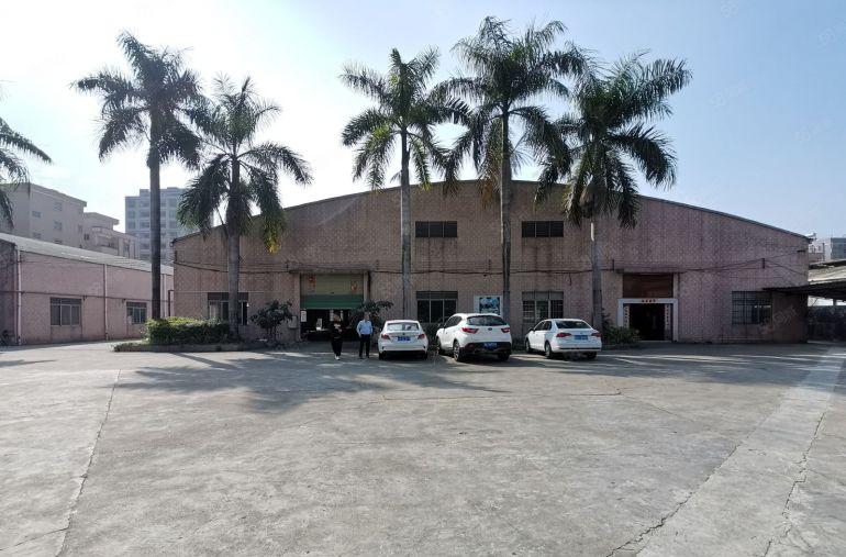 东坑新出砖墙到顶单一层低价出租，有现成地磅，办公室，空地超大