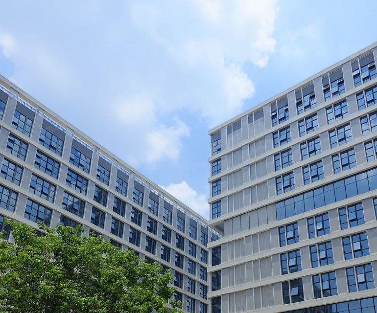 道滘政府厂房低价出租，实际面积无公摊，有补贴，免租期长。