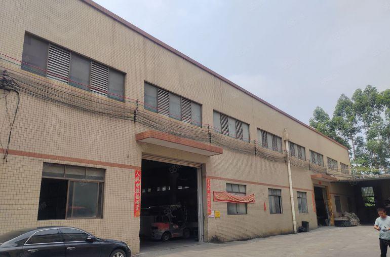 道滘无拆迁规划区原房东单一层厂房